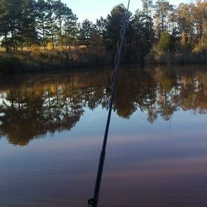 Meet your Posher, Louis